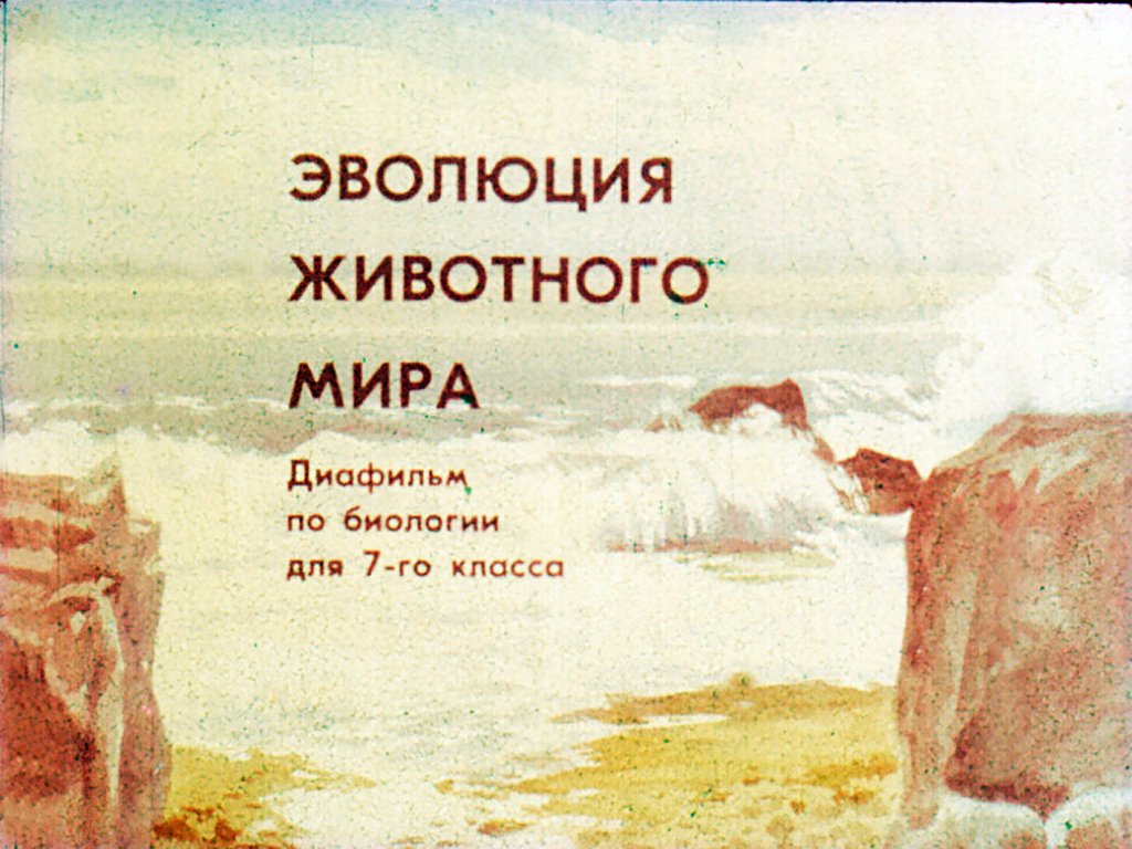Кадр 1 диафильма «Эволюция животного мира»