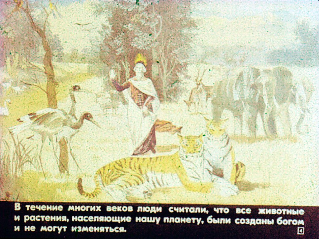 Кадр 4 диафильма «Эволюция животного мира»