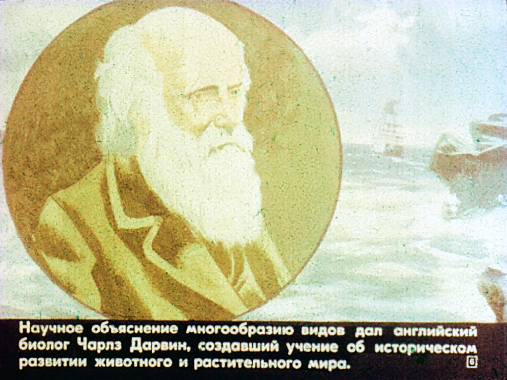 Кадр 6 диафильма «Эволюция животного мира»