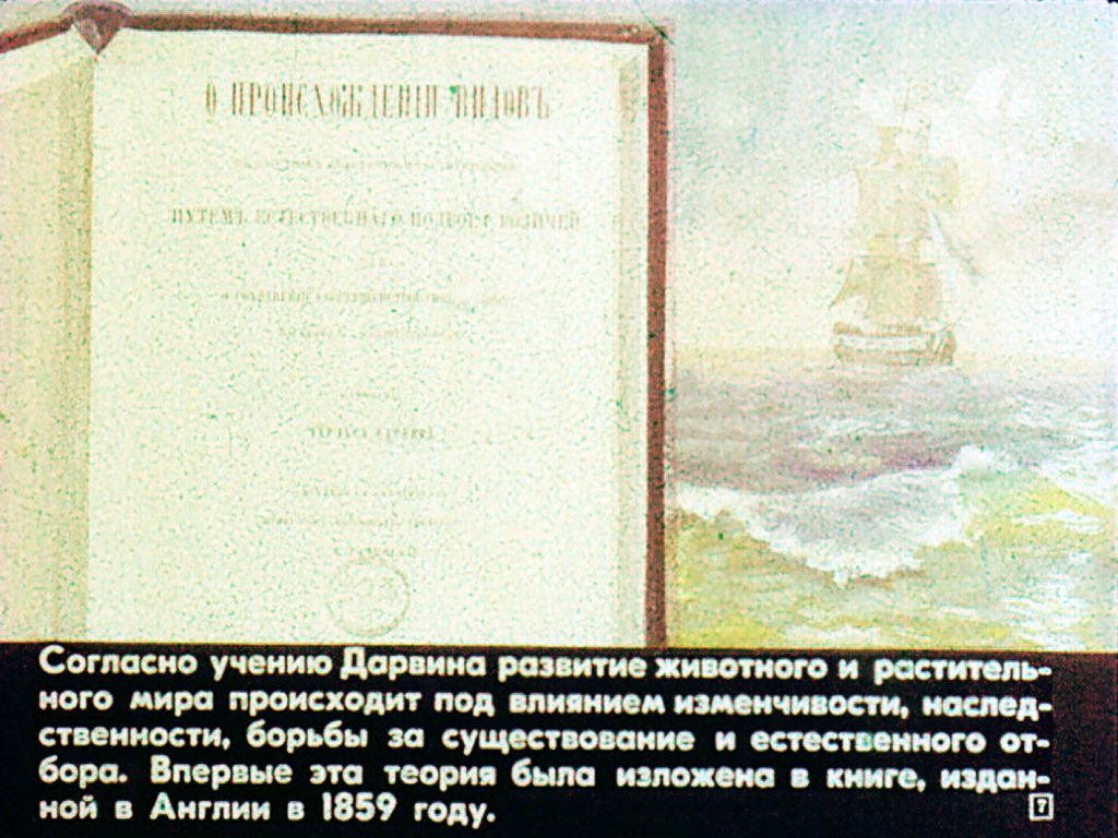 Кадр 7 диафильма «Эволюция животного мира»