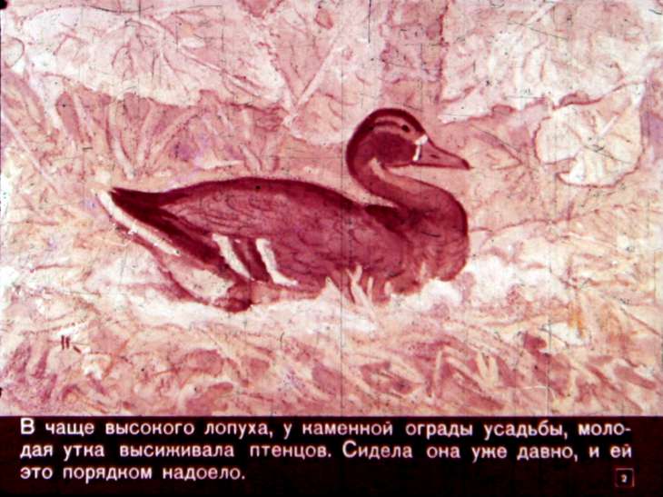 Кадр 2 диафильма «Гадкий утенок»