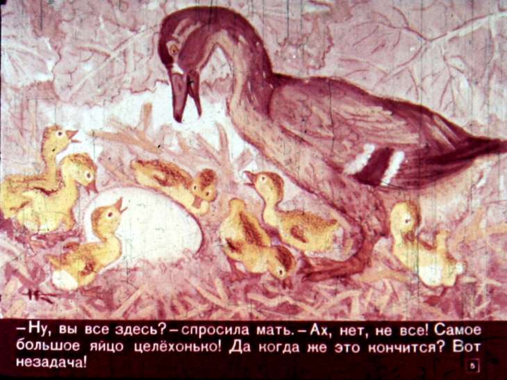 Кадр 5 диафильма «Гадкий утенок»