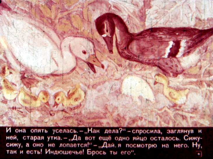 Кадр 6 диафильма «Гадкий утенок»