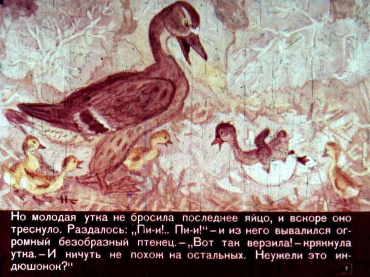 Кадр 7 диафильма «Гадкий утенок»
