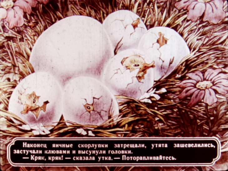 Кадр 4 диафильма «Гадкий утенок»