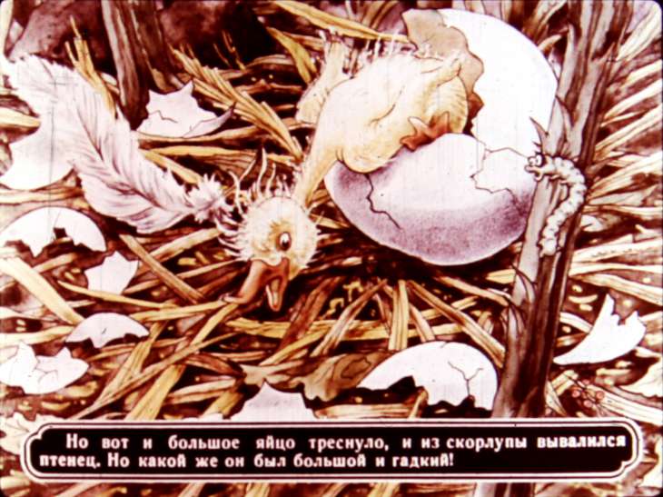Кадр 6 диафильма «Гадкий утенок»