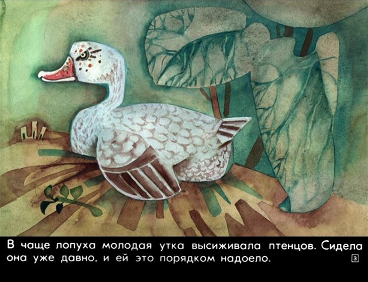 Кадр 3 диафильма «Гадкий утенок»