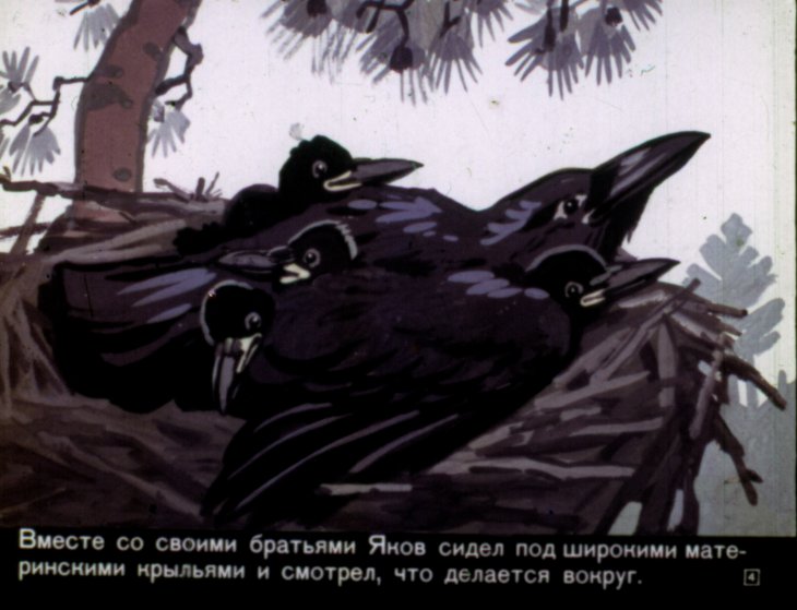 Кадр 4 диафильма «Вороненок Яков»