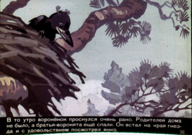 Кадр 6 диафильма «Вороненок Яков»