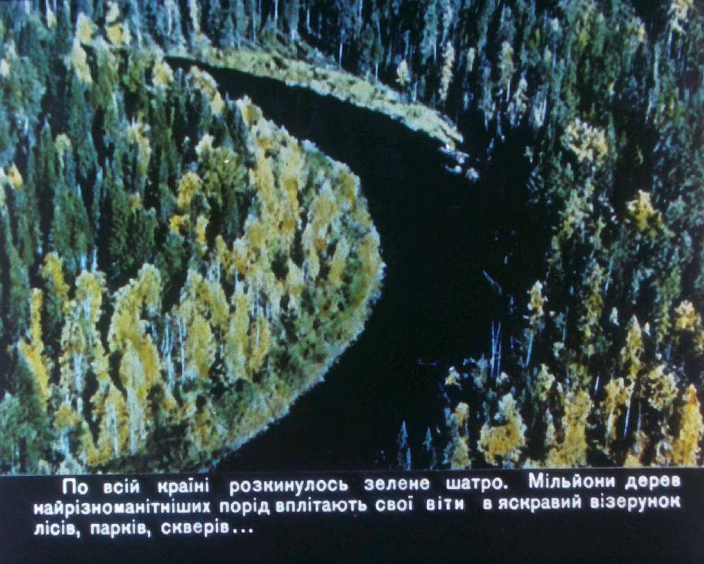 Кадр 4 диафильма «Дерево и изделия из него»