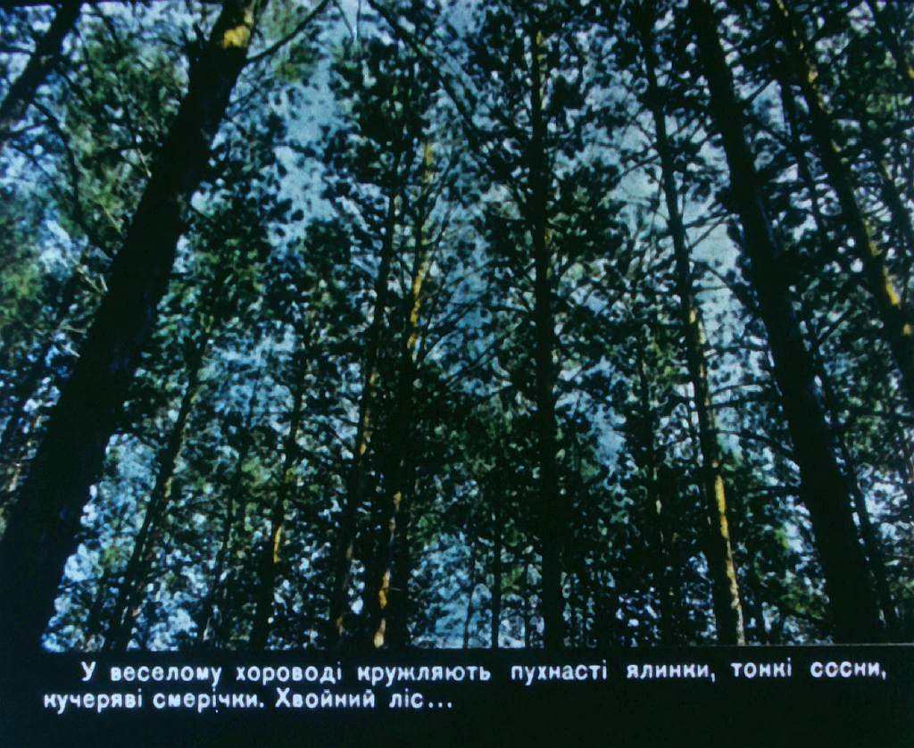 Кадр 6 диафильма «Дерево и изделия из него»