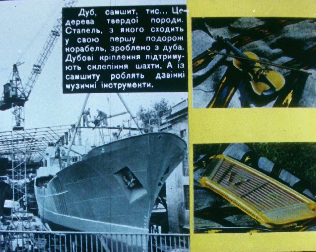 Кадр 7 диафильма «Дерево и изделия из него»