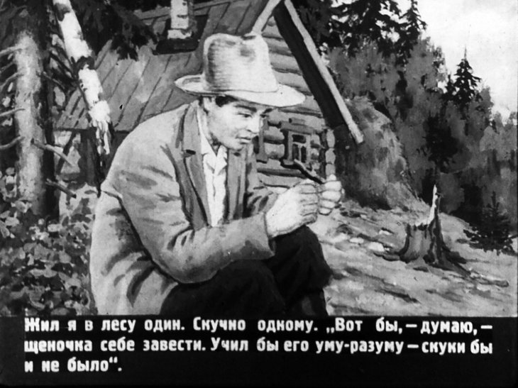 Кадр 2 диафильма «Птенцы-хитрецы»