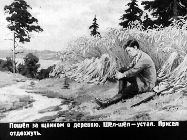 Кадр 3 диафильма «Птенцы-хитрецы»