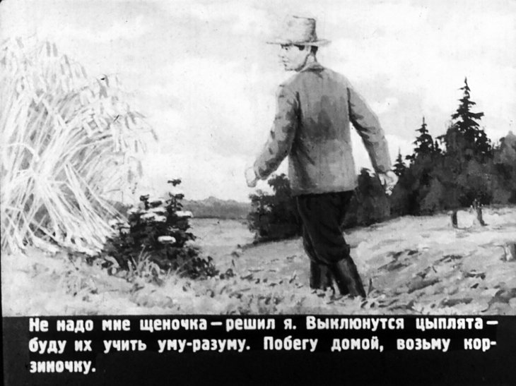 Кадр 7 диафильма «Птенцы-хитрецы»