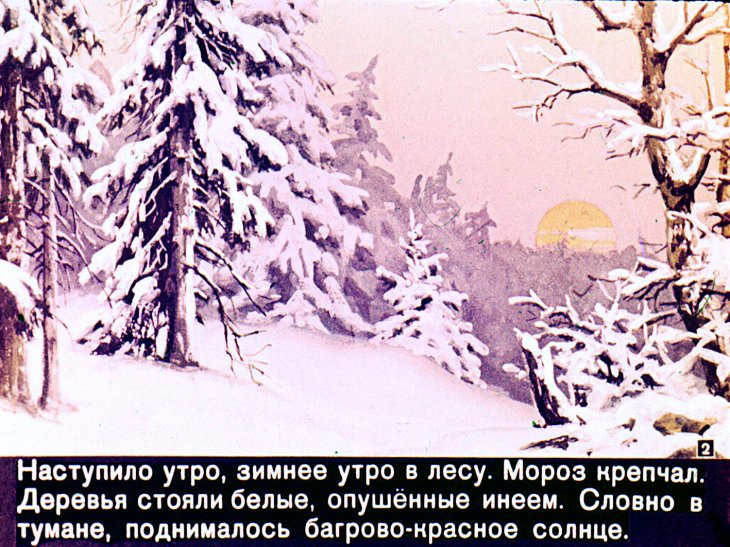 Кадр 2 диафильма «Про белочку - хлопотунью»