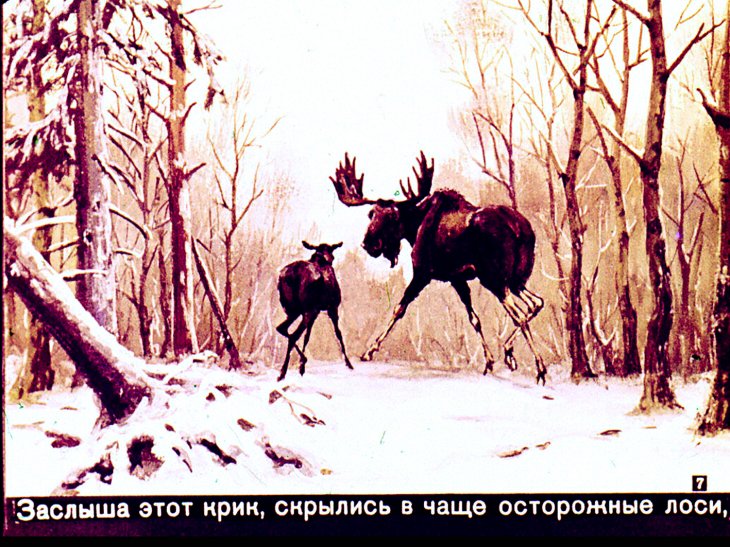 Кадр 7 диафильма «Про белочку - хлопотунью»