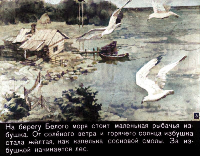 Кадр 3 диафильма «Пинагор»