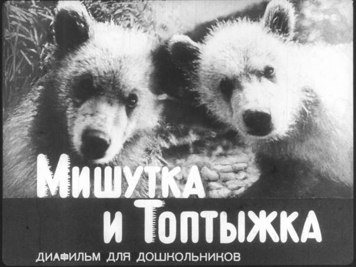 Кадр 1 диафильма «Мишутка и Топтыжка»