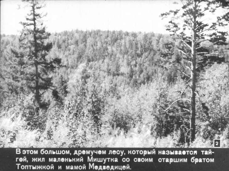 Кадр 2 диафильма «Мишутка и Топтыжка»