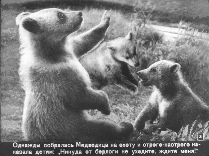 Кадр 3 диафильма «Мишутка и Топтыжка»