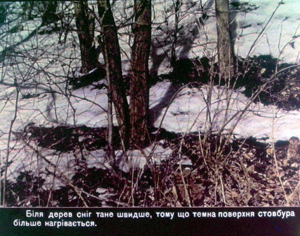 Кадр 4 диафильма «Времена года. Весна»