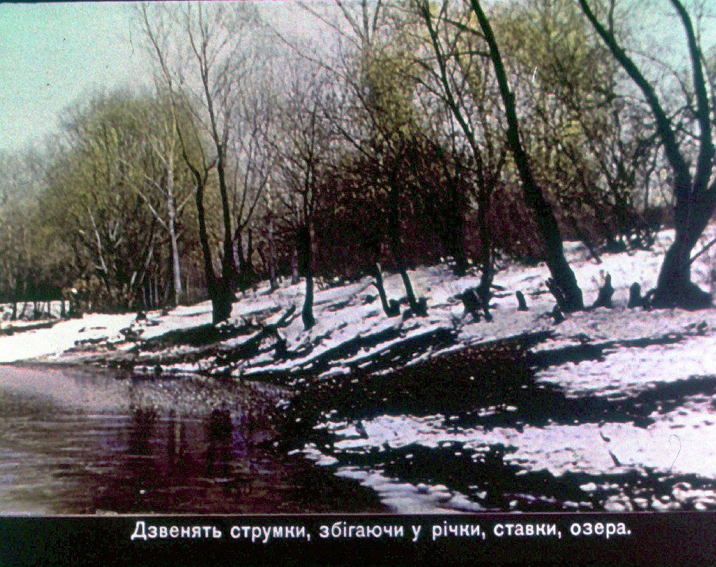 Кадр 5 диафильма «Времена года. Весна»