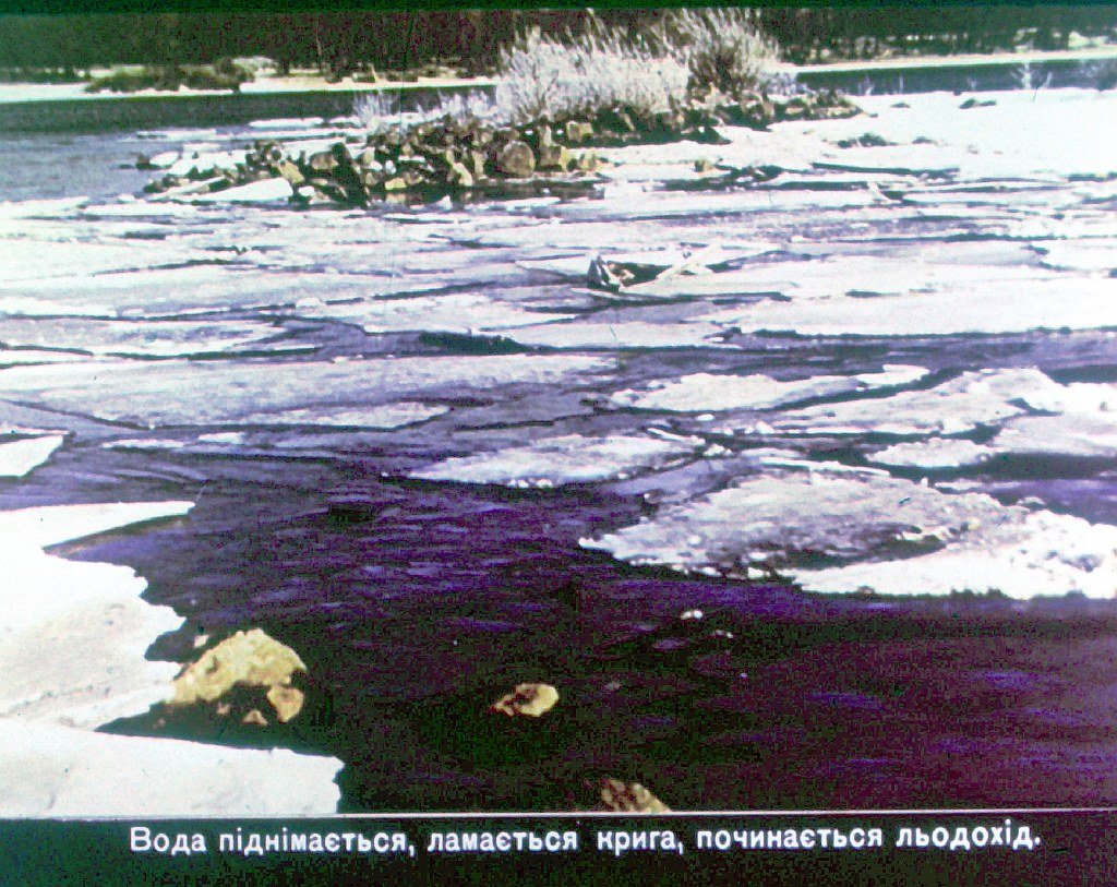 Кадр 6 диафильма «Времена года. Весна»
