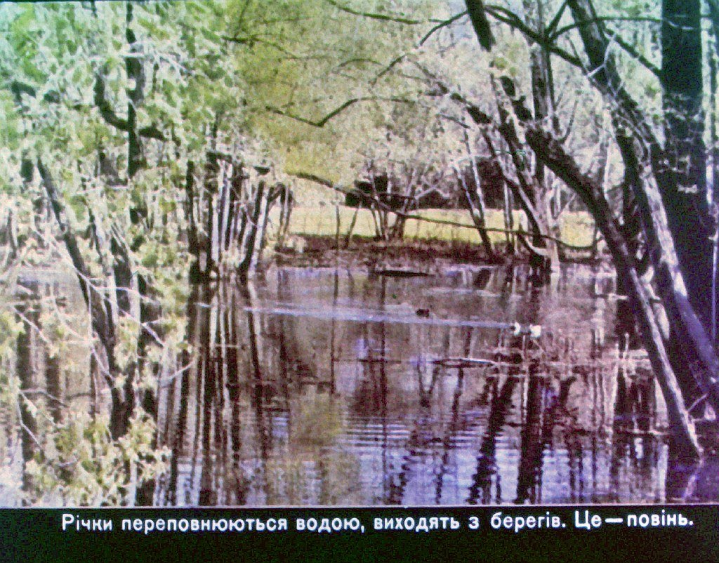 Кадр 7 диафильма «Времена года. Весна»