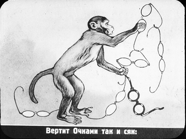 Кадр 4 диафильма «Мартышка и очки»