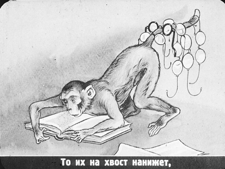 Кадр 6 диафильма «Мартышка и очки»