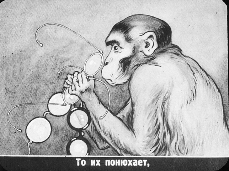 Кадр 7 диафильма «Мартышка и очки»