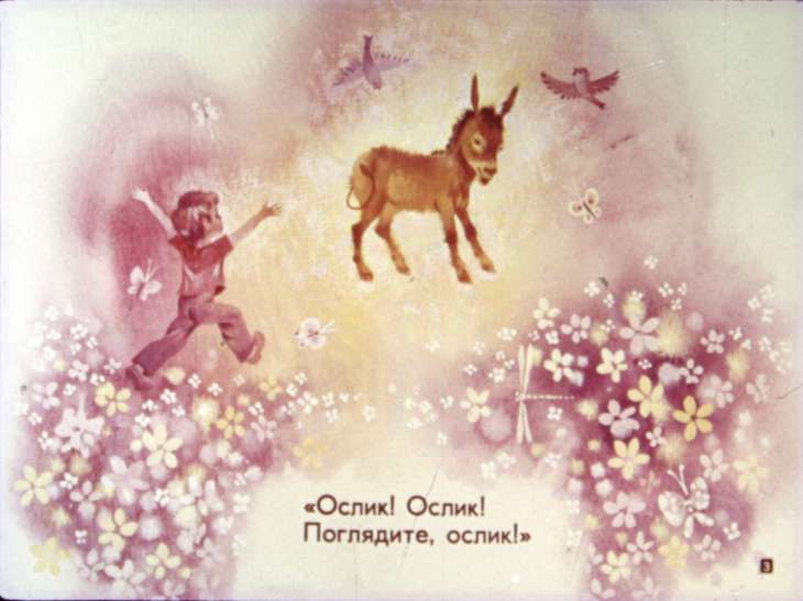 Кадр 3 диафильма «Про ослика»