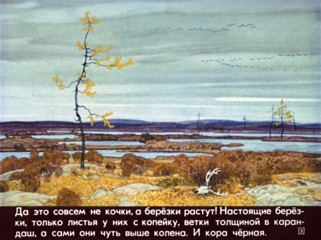 Кадр 3 диафильма «Наши деревья»