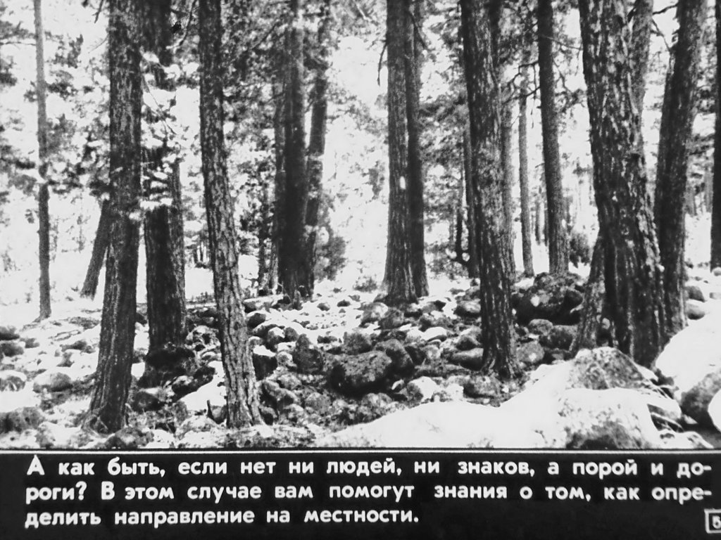 Кадр 5 диафильма «Как ориентироваться на местности»