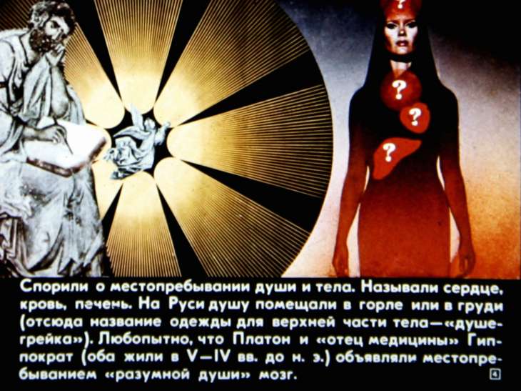 Кадр 4 диафильма «Происхождение сознания»