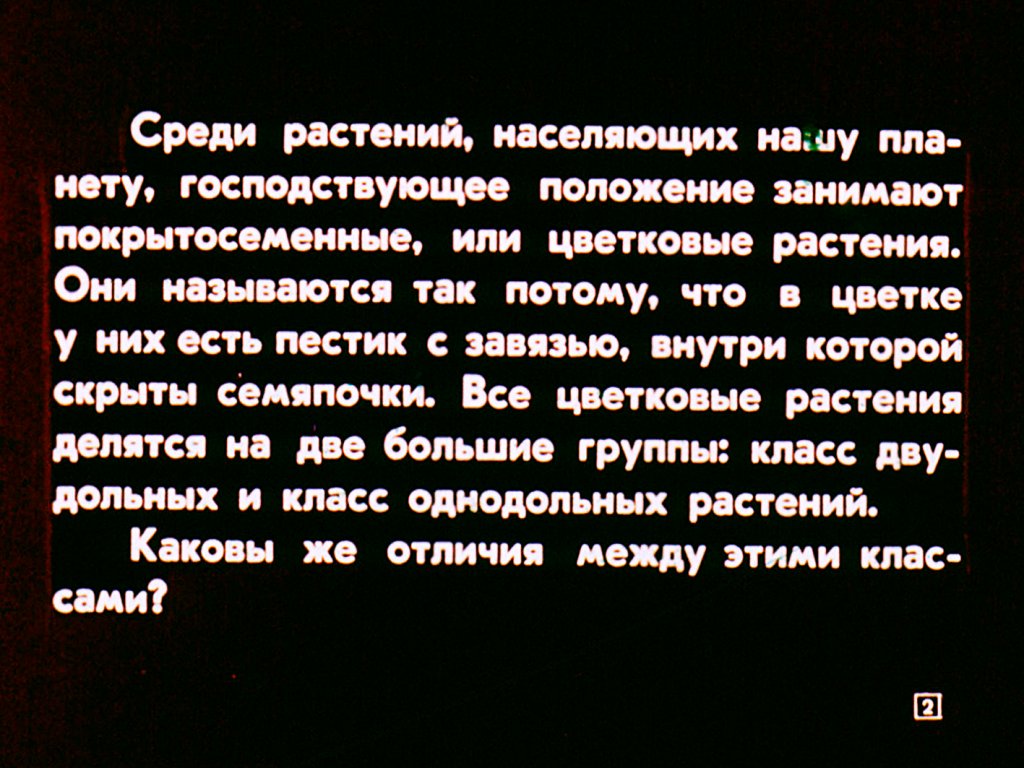 Кадр 2 диафильма «Двудольные растения»