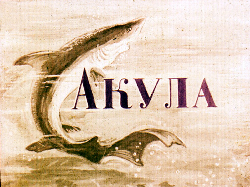Кадр 1 диафильма «Акула»