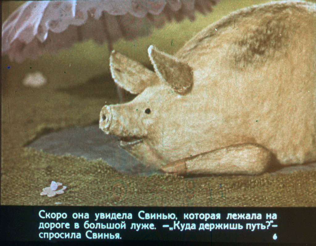 Кадр 5 диафильма «Маленькая рябая курочка уходит от мамы»