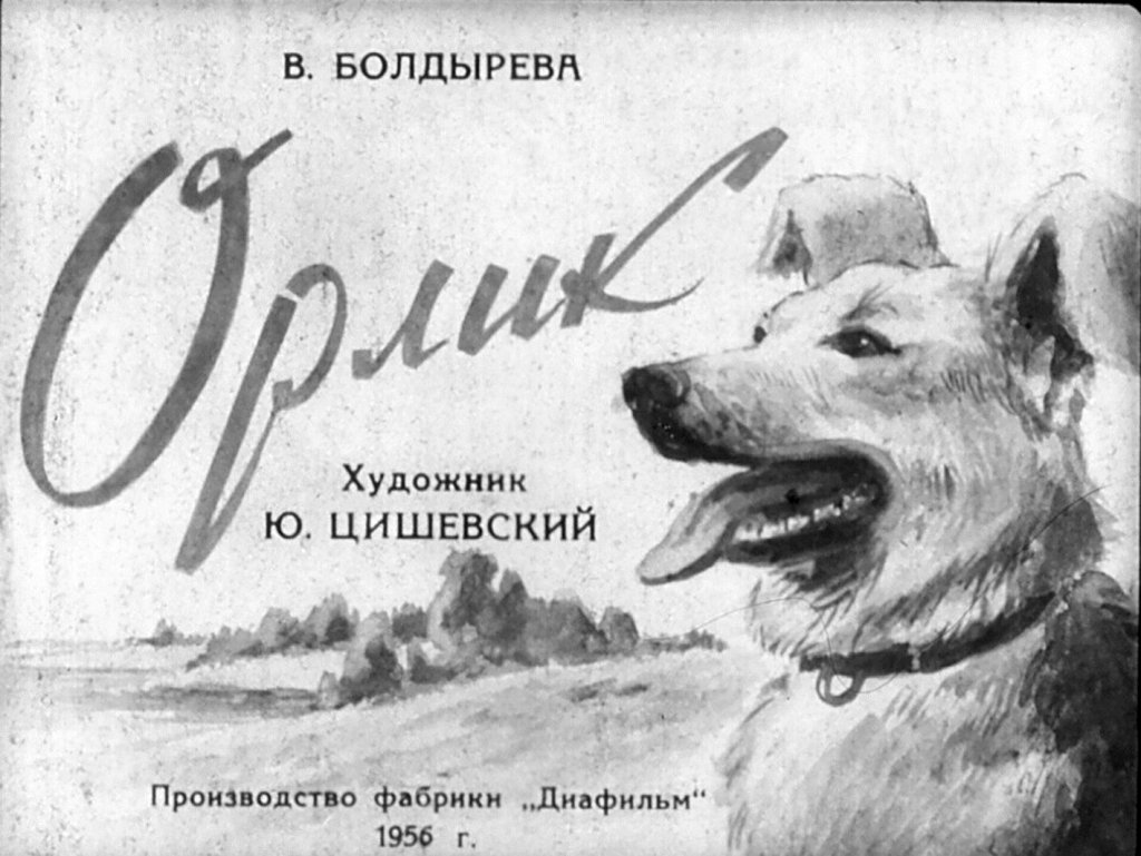 Кадр 1 диафильма «Орлик»
