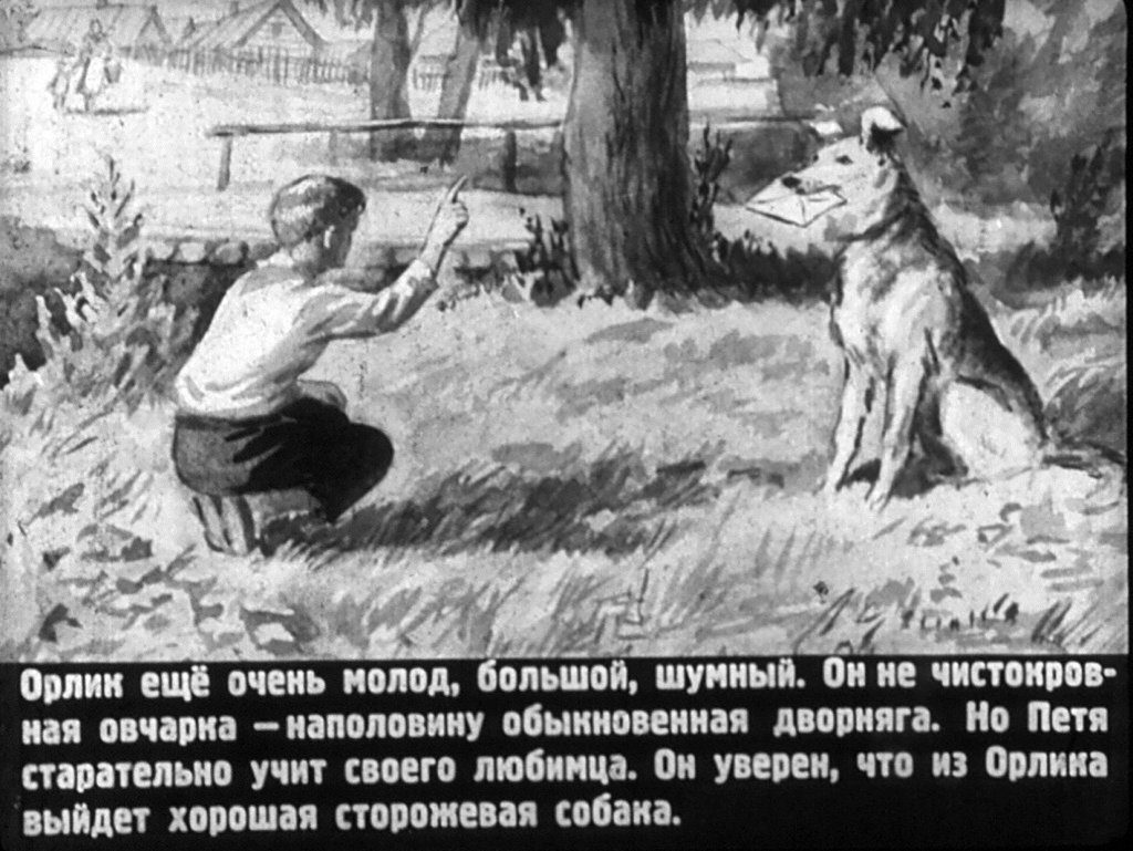 Кадр 6 диафильма «Орлик»