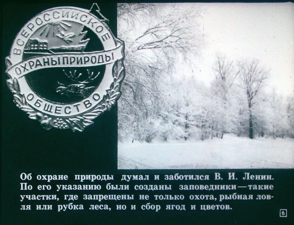 Кадр 5 диафильма «На страже природы»