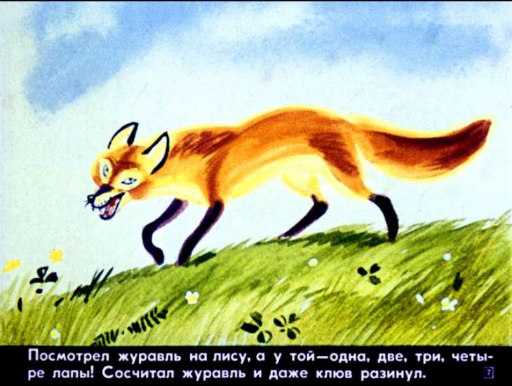 Кадр 7 диафильма «Лесной мальчик»