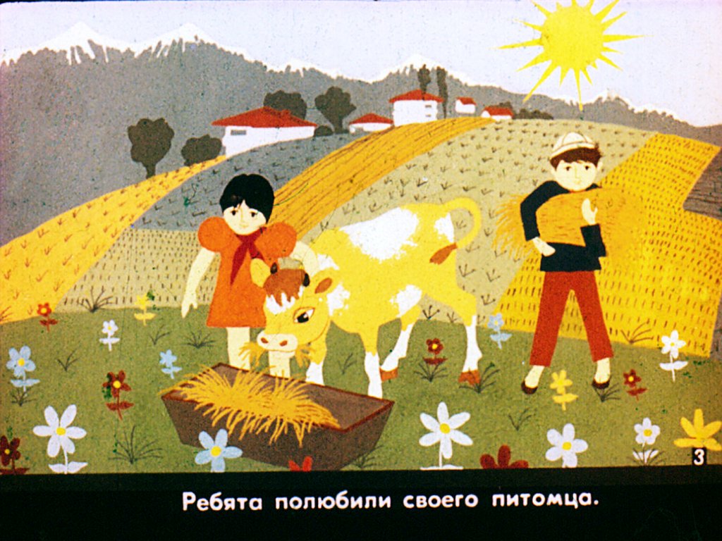 Кадр 4 диафильма «Теленок Мамука. Часть 1»