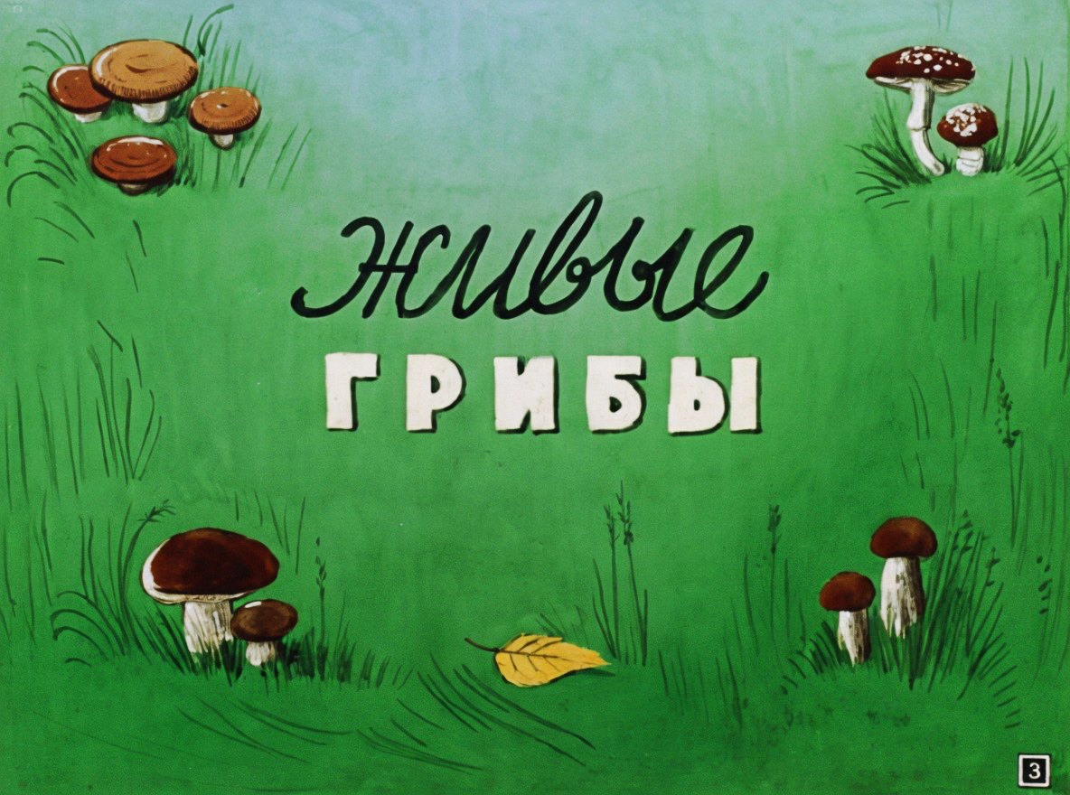 Кадр 2 диафильма «Веселые картинки»