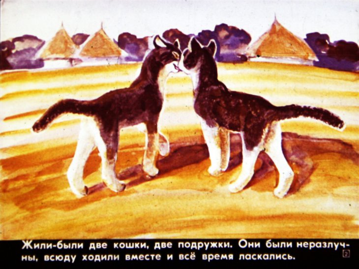 Кадр 2 диафильма «Как поссорились две кошки»