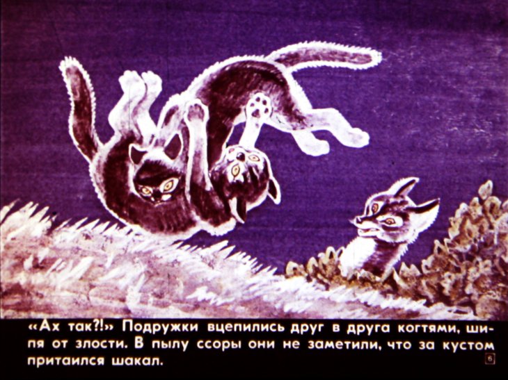 Кадр 6 диафильма «Как поссорились две кошки»