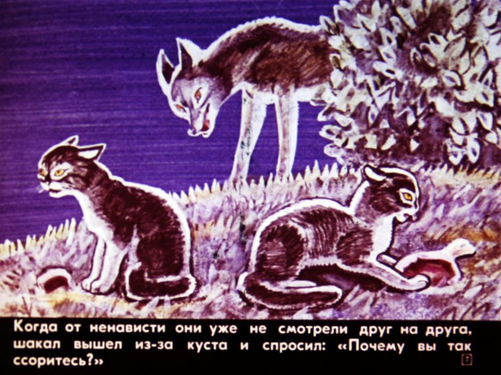 Кадр 7 диафильма «Как поссорились две кошки»