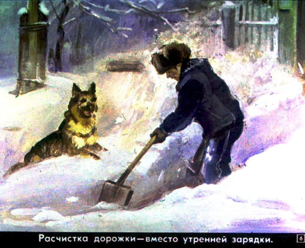 Кадр 6 диафильма «Так поступает пионер»