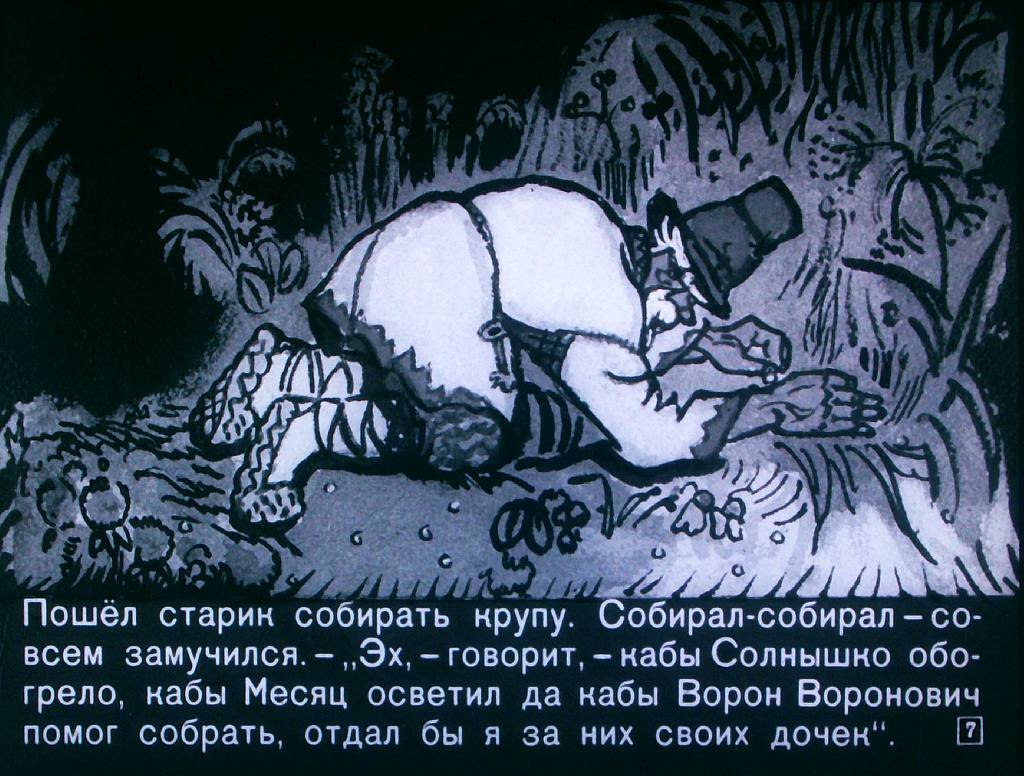 Кадр 7 диафильма «Солнце, Месяц и Ворон Воронович»